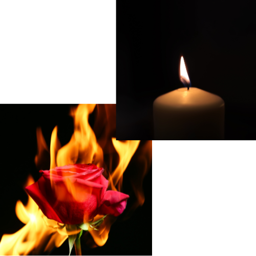 Rouw- en breukondersteuning