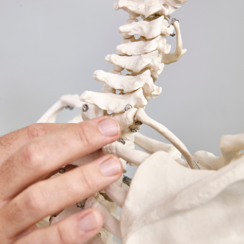 Massage en fysiotherapie