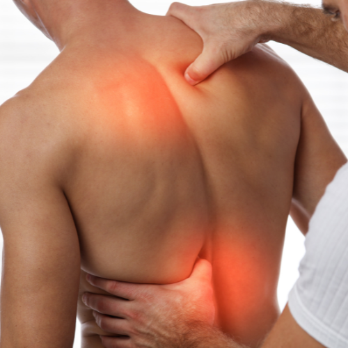 Massage en fysiotherapie